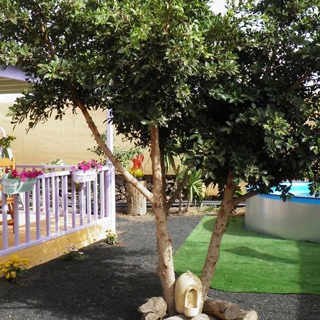 Caravana En Oasis Privado La Vegueta Eksteriør bilde